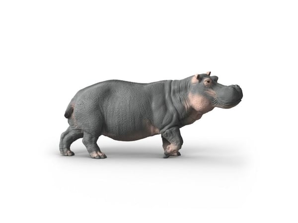 Schleich flodhäst