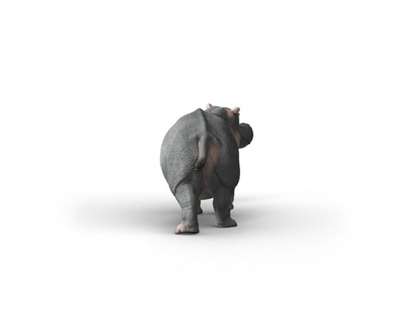 Schleich Hippopotamus