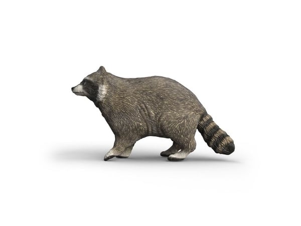 Schleich tvättbjörn