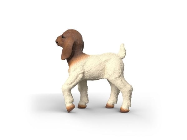 Schleich Boer gedekid