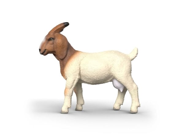 Schleich gedebuk