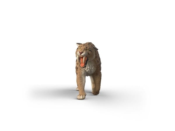 schleich WILD LIFE 15054, 5 vuosi/vuosia, Monivärinen, Muovi