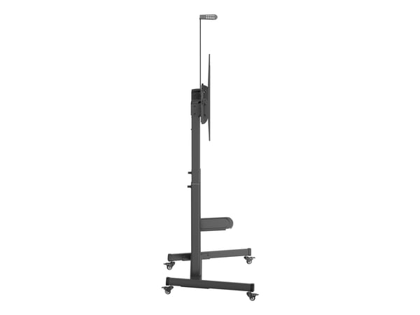 Gembird TVS-100T-03, 2,54 m (100"), 200 x 200 mm, 1000 x 600 mm, 5 - -10°, Stål, Svart