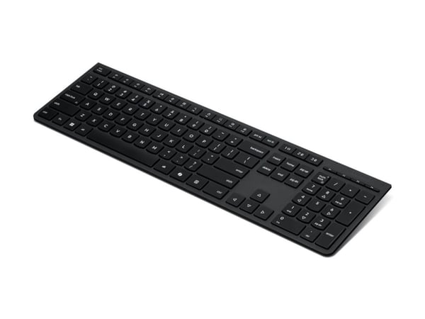 Lenovo Professional - Tastatur - ladbar - full size - trådløs - 2.4 GHz, Bluetooth - QWERTY - Estisk - grå - brun boks