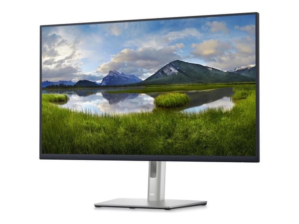 Dell P3223DE - LED-skjerm - 31.5" - 2560 x 1440 QHD @ 60 Hz - IPS - 350 cd/m² - 1000:1 - 5 ms - HDMI, DisplayPort, USB-C - svart - TAA-samsvar - me...