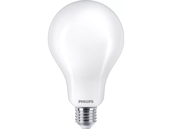 Philips Classic - LED-lyspære - form: A95 - mattslipt finish - E27 - 23 W (ekvivalent 200 W) - klasse D - kjølig dagslys - 6500 K