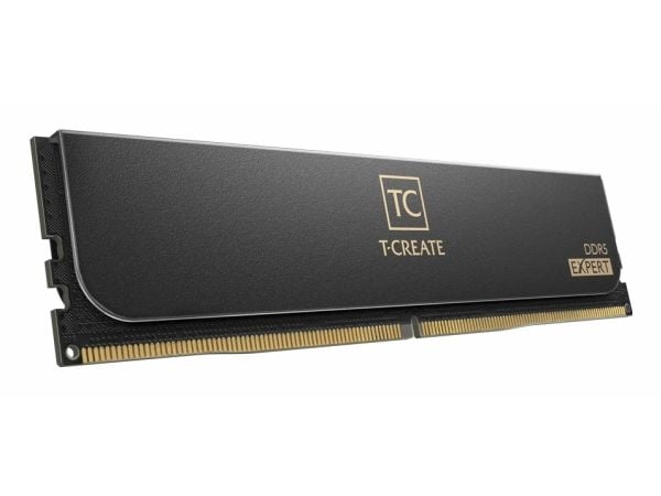T-CREATE EXPERT - DDR5 - sett - 32 GB: 2 x 16 GB - DIMM 288-pin - 3200 MHz / PC5-51200 - CL32 - 1.35 V - ikke-bufret - on-die ECC - svart