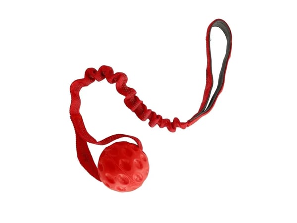 Dogman Valpleksak Hård Boll Röd 50cm 50cm