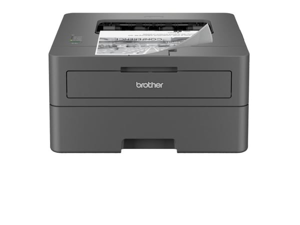 Brother HL-L2402D - Skrivare - svartvit - Duplex - laser - A4/Legal - 1200 x 1200 dpi - upp till 30 sidor/minut - kapacitet: 250 ark - USB 2.0