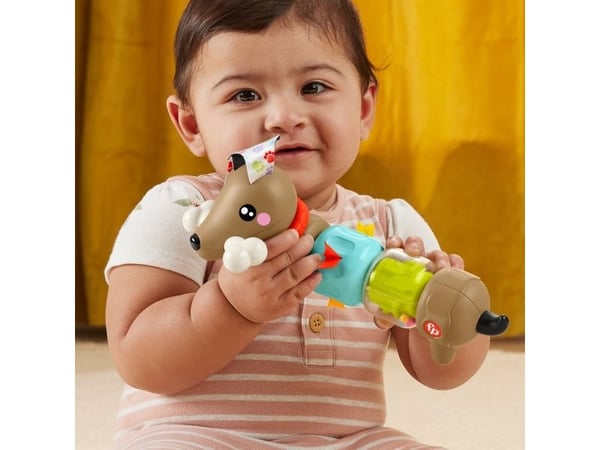 Fisher-Price FP Pets Click & Spin Activity Pup -hienomotoriikkalelu vauvoille, 0,5 vuosi/vuosia, Tuottaa ääntä, Muovi, Monivärinen