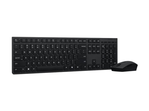 Lenovo Professional - Tastatur- og mussett - full size - trådløs - Bluetooth, 2.4 GHz - Tsjekkisk/slovakisk - grå - brun boks