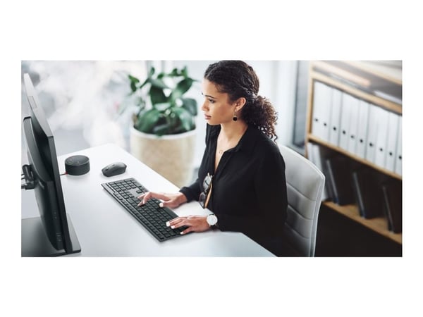Lenovo Professional - Tastatur- og mussett - full size - trådløs - Bluetooth, 2.4 GHz - Tsjekkisk/slovakisk - grå - brun boks