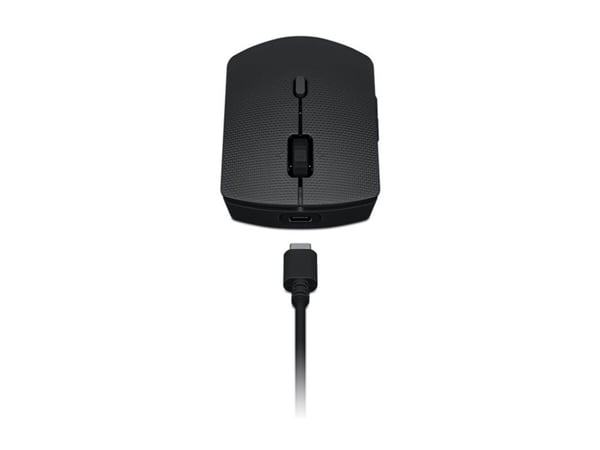 Lenovo Professional - Tastatur- og mussett - full size - trådløs - Bluetooth, 2.4 GHz - Tsjekkisk/slovakisk - grå - brun boks