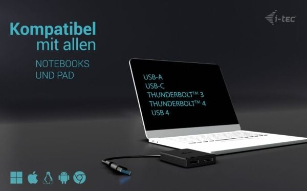 i-Tec - Video adapter - USB-C (hann) til DisplayPort (hunn) - Thunderbolt 4 - 27 cm - 4K 60Hz støtte