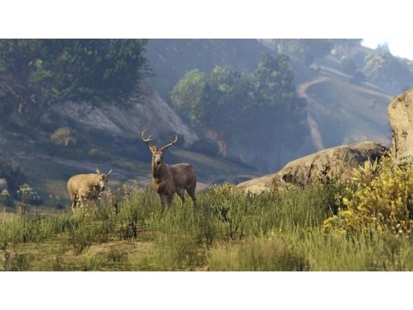 Microsoft Grand Theft Auto V: Premium Online Edition, Xbox One, Flerspillermodus, M (Utviklet), Laste ned