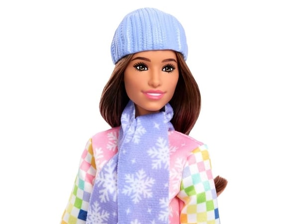 Barbie Career Deluxe Snowboarder