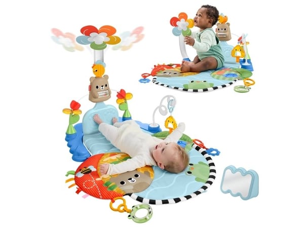 Fisher-Price Balanced Beginnings Kick & Sway Gym