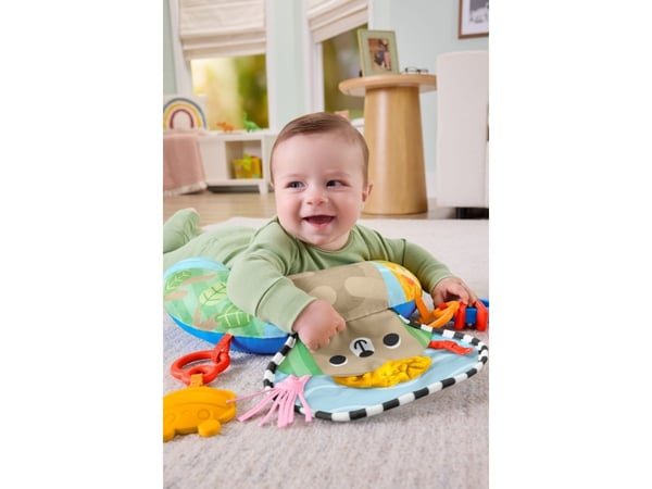 Fisher-Price Balanced Beginnings Tummy Wedge