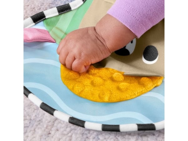 Fisher-Price Balanced Beginnings Tummy Wedge