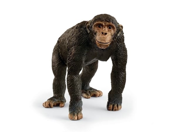 Schleich sjimpanse