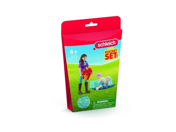Schleich Pocket Set Birthday party with Lisa