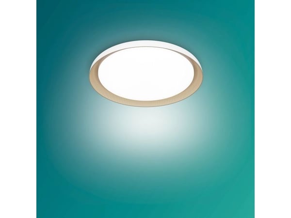 Philips Kattovalaisin 10W, LED, 1850 lm, IP20, Valkoinen