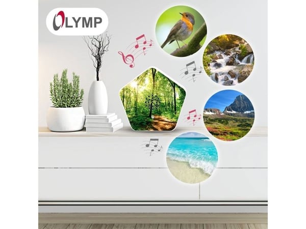 Olympia Olymp Nature BOX -tietokonekaiuttimet
