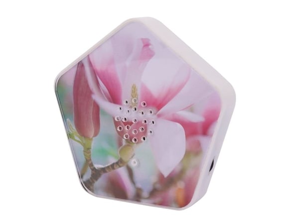 Olympia Olymp Nature BOX -tietokonekaiuttimet