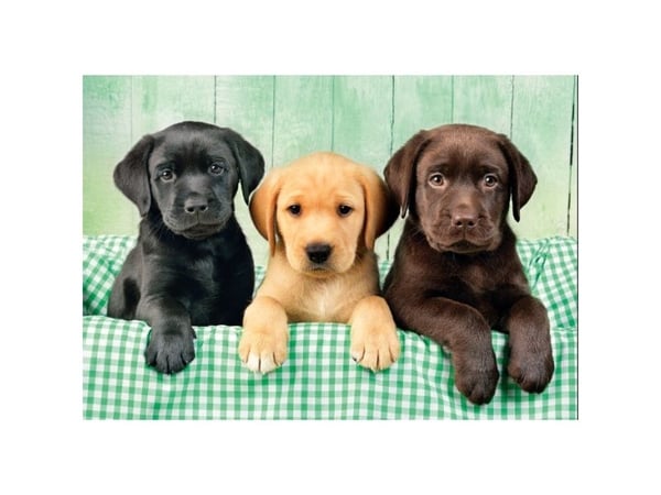 Clementoni puslespill Compact Three Labs 1000 brikker (39946)