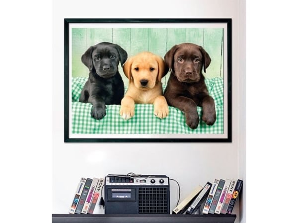 Clementoni puslespill Compact Three Labs 1000 brikker (39946)
