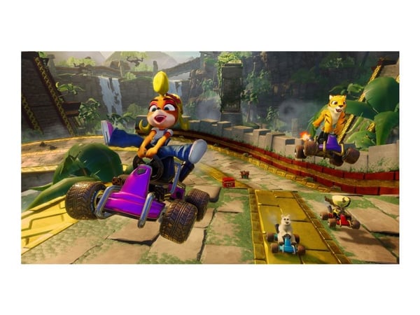 Crash Team Racing Nitro Fueled - Nintendo Switch