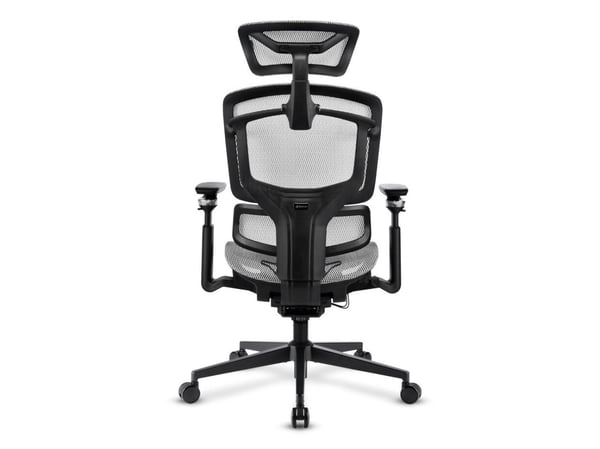 Sharkoon OfficePal C50M, Polstret Sete, Maskenett, Svart, Svart, Stoff, Skum, Netting