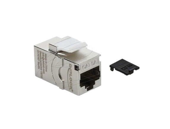 Delock - Keystone module - RJ-45 (hunn) til RJ-45 (hunn) - skjermet - CAT 6a - svart, hvit, sølv