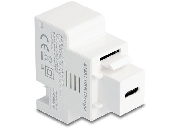 DeLOCK 41481, Tasainen, Valkoinen, USB C, 2-pin terminal, Naaras, 220 mm