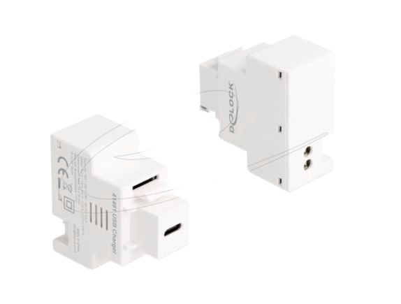DeLOCK 41481, Tasainen, Valkoinen, USB C, 2-pin terminal, Naaras, 220 mm