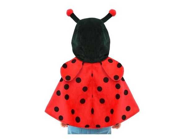 Nyckelpiga poncho