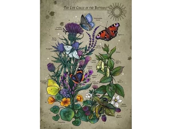 Ravensburger 12.001.435, 1000 stykker, Flora, 14 år