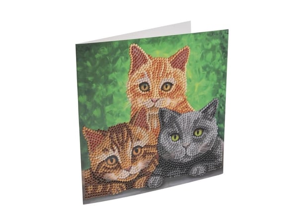 Kattporträtt, Crystal Art Card-kit