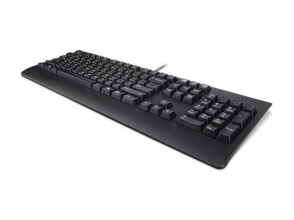 Lenovo Preferred Pro II - Tastatur - USB - QWERTY - amerikansk engelsk - svart - brun boks