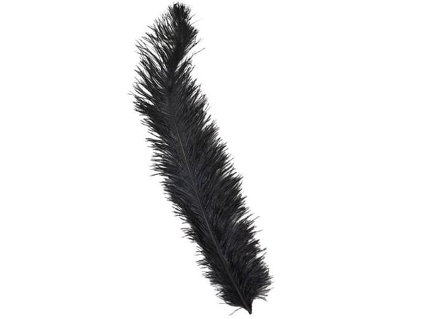 Sorte strutsefjær 60 cm, 12 stk.