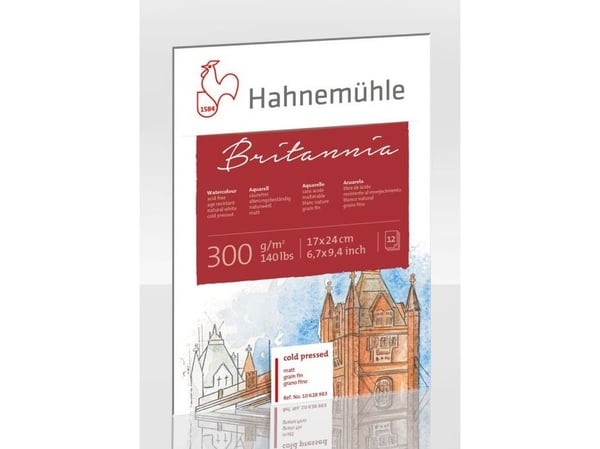 Hahnemühle 10628983, Taidepaperi, 300 g/m², 12 arkkia