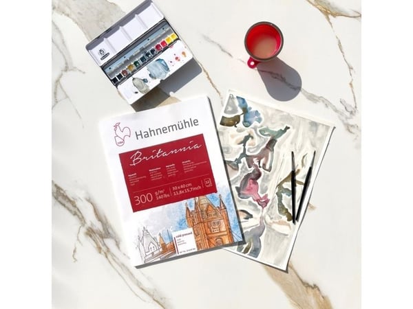 Hahnemühle 10628983, Taidepaperi, 300 g/m², 12 arkkia