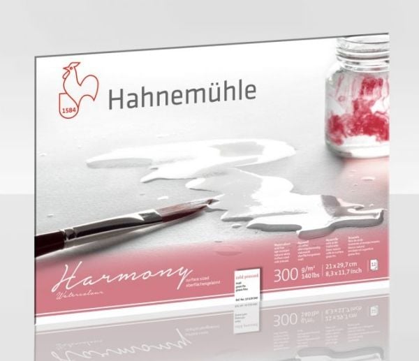 Hahnemühle 10628040, Kunstark/-papir, 300 g/m², 12 ark
