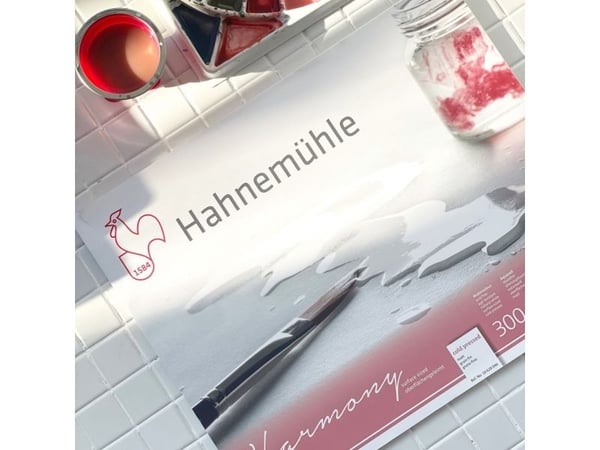 Hahnemühle 10628040, Kunstark/-papir, 300 g/m², 12 ark