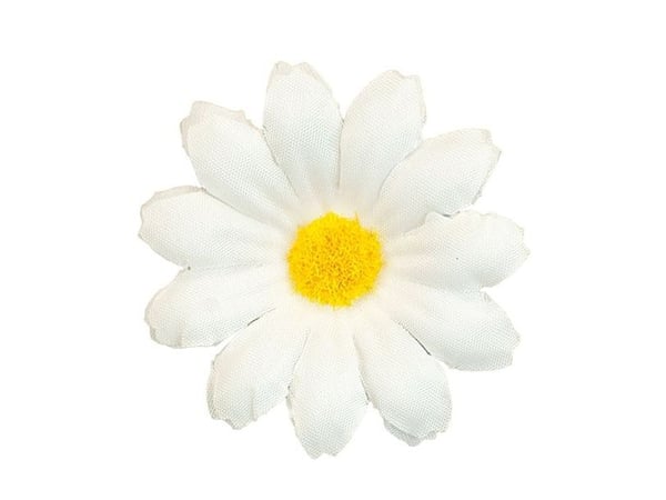 Margueritter, 20 stk Margueritter, 20 stk