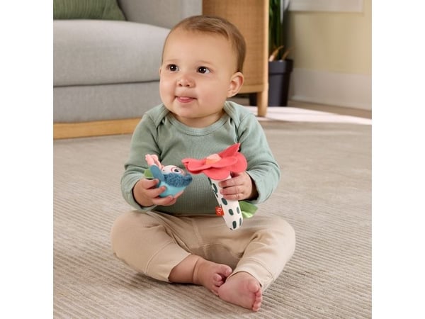 Fisher Price Planet Friends Shake 'n Rattle Bee