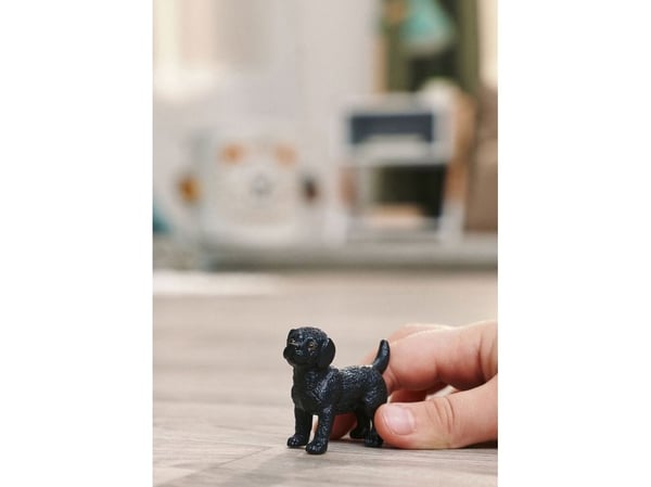 schleich 14922, 3 vuosi/vuosia, Musta, Muovi