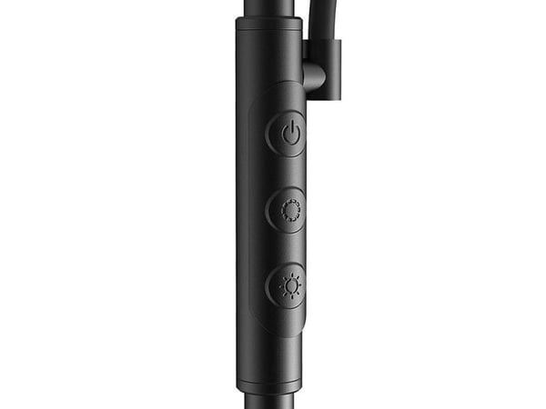 Blitzwolf gulvlampe, dobbel gulvlampe med fjernkontroll BlitzWill BWL-FL-0001 36W (svart)