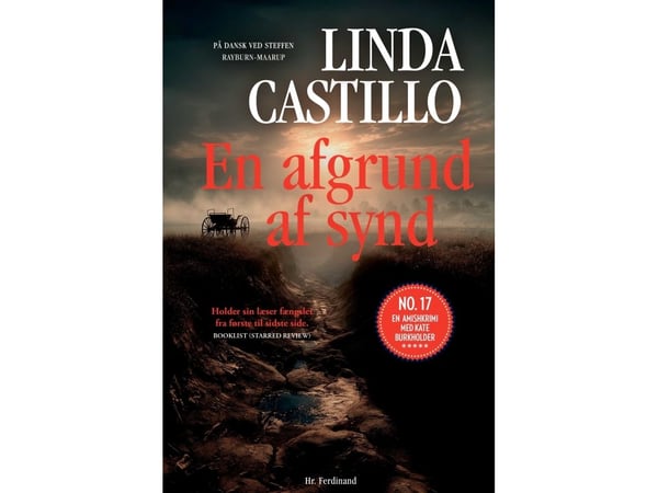 En avgrunn av synd | Linda Castillo | Språk: Dansk