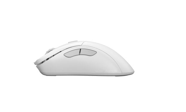 Glorious Gaming Model D 2 PRO Wireless, Høyre hendt, Optisk, RF kabel-fri, 26000 DPI, 1 ms, Hvit